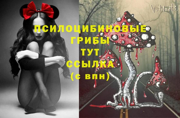 mdpv Вязники