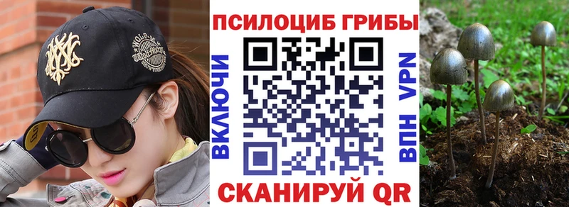 гидра ссылка Надым Псилоцибиновые грибы Cubensis